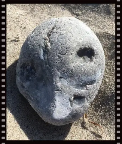 Крошечные окаменелости, огромные оползни: являются ли диатомовые водоросли ключом к крупнейшим оползням Земли?