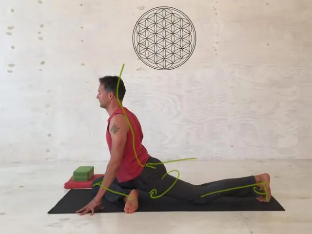 Ловящиеся креветки могут служить «звоночком к обеду» для серых китов у побережья Орегона