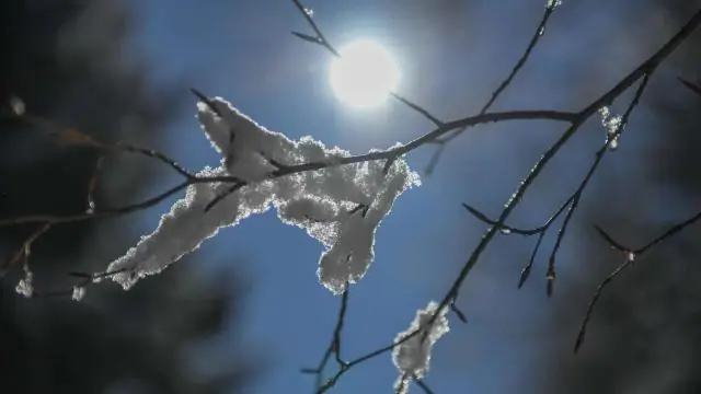 Полярный вихрь бросает вызов изменению климата на юго-востоке США: зимы на юго-востоке становятся холоднее, а не теплее