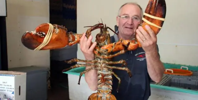 Создание библиотеки штрих-кодов ДНК канадской флоры с использованием коллекций гербариев