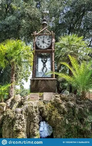 Для тропических лесных птиц важны старые районы