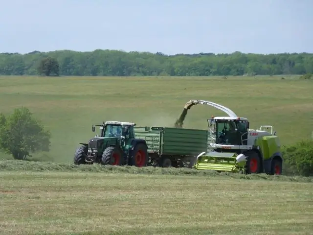 Чем больше видов пчел, тем лучше для человека: исследование 48 ферм в двух штатах показало, что обилие видов означает много опыления