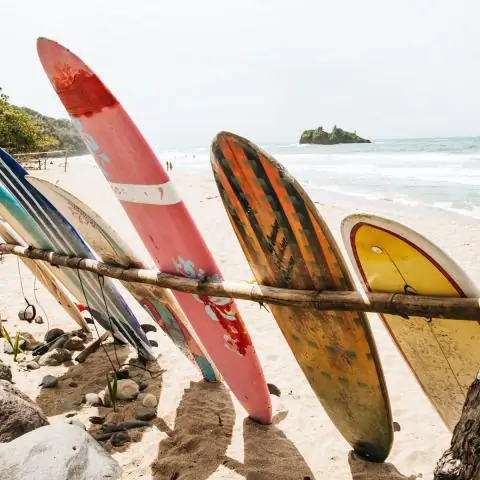 Птицы и бобы: исследование показало, что кофе лучше всего подходит для разнообразия птиц