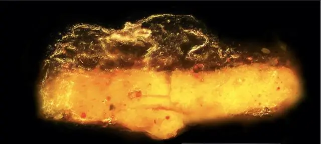 Изучение структуры митоза, чтобы понять внутреннюю часть раковых клеток: исследователи раскрывают архитектуру тела полюса веретена у дрожжей