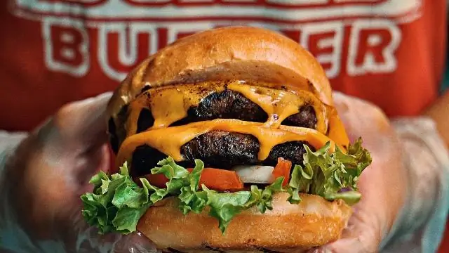 Почему пчелы взлетели, а слизь потерпела неудачу в качестве вдохновения для системной инженерии: когда моделировать природу в инженерии, а когда, возможно, нет