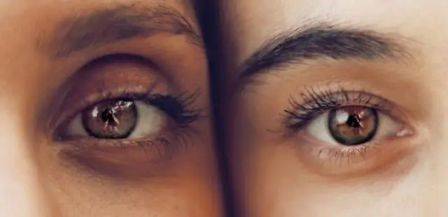 Пространственное восприятие одорантов тараканами