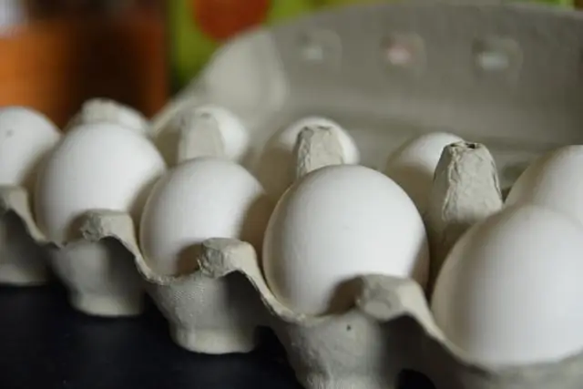 В живом цвете: яркие бактерии можно использовать для «выращивания» красок и покрытий