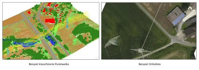 Лазеры произвели революцию в картографировании лесов