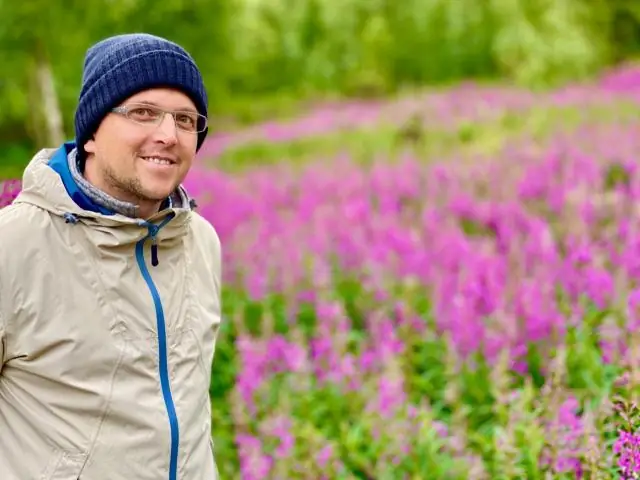 Поток нитратов в Арктике не следует за снижением выбросов NOx в соседних странах