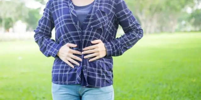 Можно ли есть клетки? Компьютерная модель предсказывает, какие организмы способны к фагоцитозу: новое исследование оспаривает, что «эукариотоподобные» археи Асгарда питаются клетками