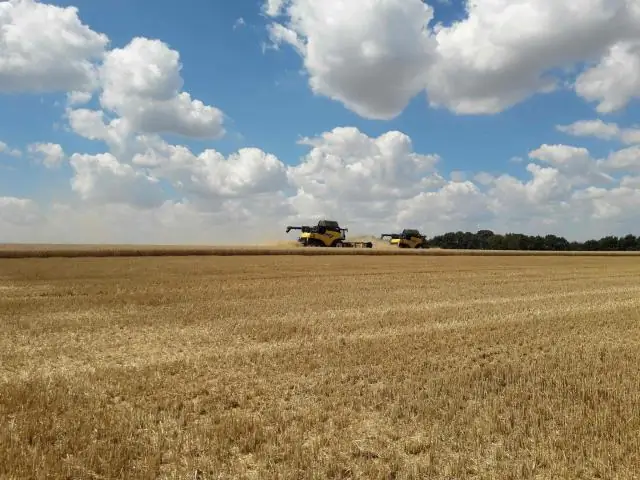 Создание микробных сообществ, помогающих растениям бороться с пищевым стрессом