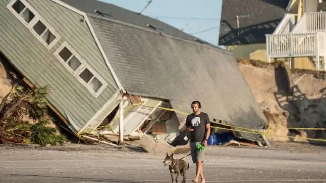 Фламинго возвращаются во Флориду?