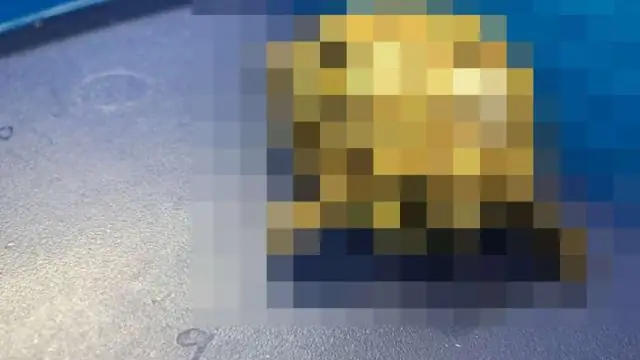 Неожиданное открытие об незаменимом ферменте