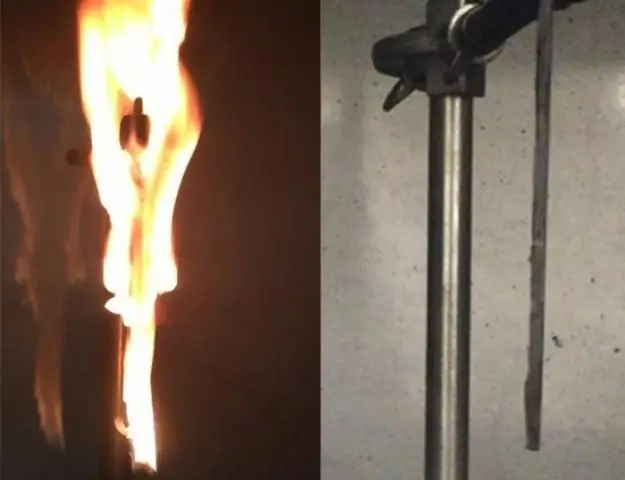 Ученые создают «Evolutionwatch» для растений: Ученые дают коллекциям растений из музеев новую жизнь с помощью «Evolutionwatch»