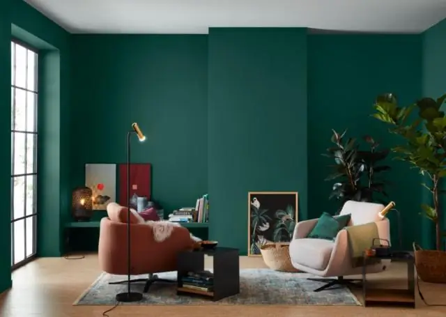 В живом цвете: видим клетки вне тела с помощью синтетической биолюминесценции