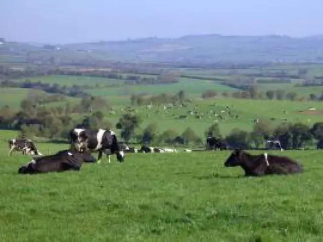 Серия штормов более 150 лет назад вызвала обширную эрозию солончака Карпинтерия