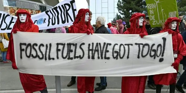 Ископаемые черепахи возрастом 5,5 миллионов лет проливают свет на инвазивных современных родственников