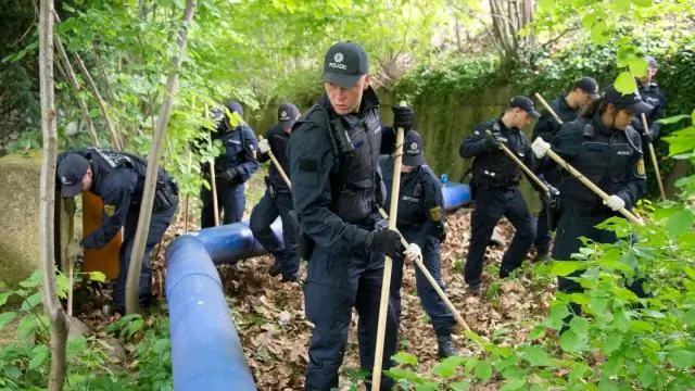 Исследование ДНК желудков коров может помочь производству мяса и молочных продуктов