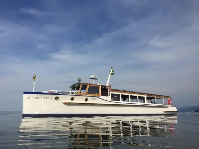 Виды возвращаются через 30 лет после опустошения тропических лесов