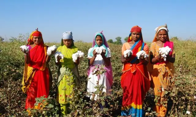 Природа может сократить использование пестицидов и воздействие на окружающую среду