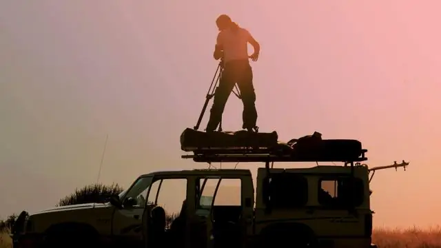 Поймано на камеру: амазонские налетчики урожая