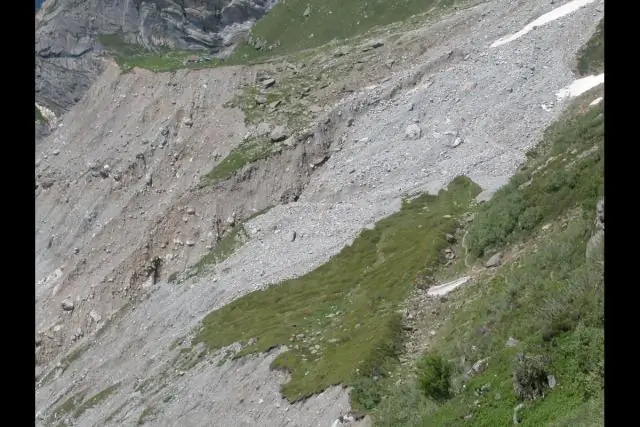 Таяние вечной мерзлоты, вызывающее «потемнение» северных озер: увеличение наземного органического вещества в северных озерах