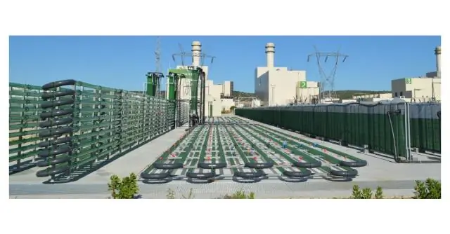 Фотосинтезирующие микроводоросли как биокатализаторы