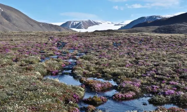 Модели показывают, как ограничить рост глобальной температуры до 1,5&°C