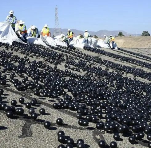 Реакция тропических лесов на засуху зависит от возраста