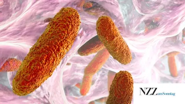 Бактерии, устойчивые к антибиотику последней инстанции, пропущенные стандартными тестами: гетерорезистентность к колистину у Klebsiella, входит в тройку основных угроз CDC