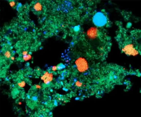 Химия для экологически чистой планеты: новые марганцевые катализаторы для сокращения выбросов углекислого газа