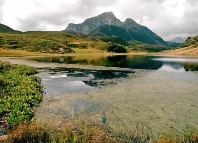 Усиленное выветривание горных пород может помочь вытянуть CO2 из воздуха – немного