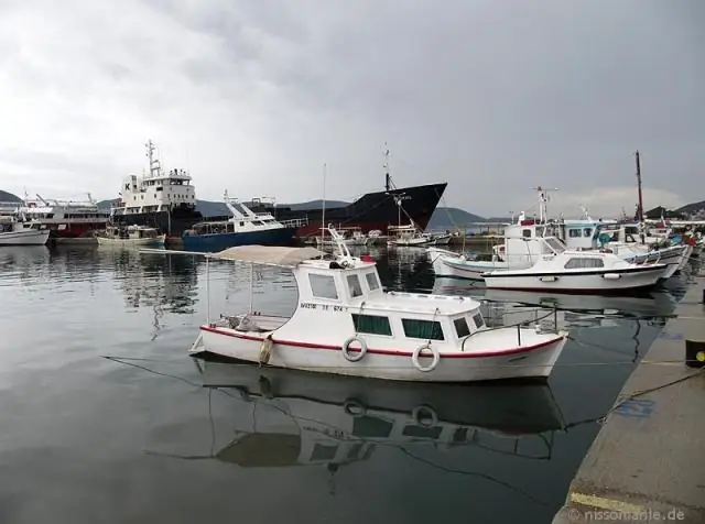 Там, где в Бенгальском заливе свежесть прохладна: муссонный сток образует прохладные усики на поверхности, отсекая питательные вещества