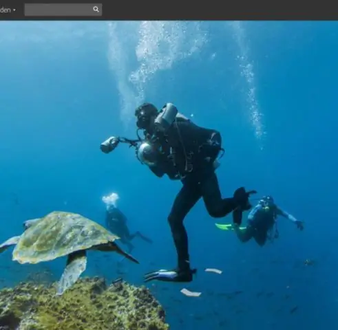 Трупное окоченение у червей предлагает новый взгляд на смерть