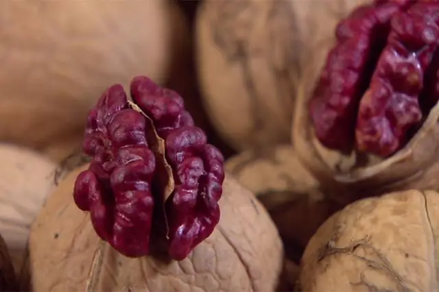 Почему редкие растения редки