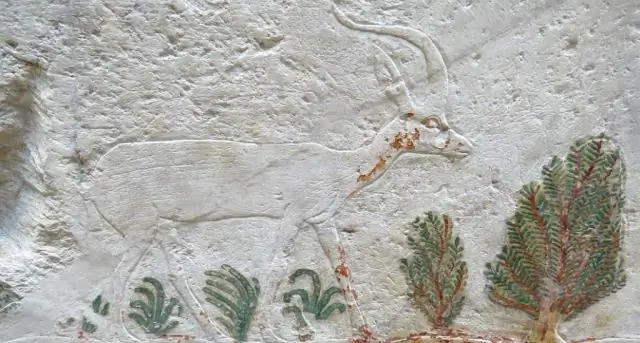 Опустынивание и муссонные климатические изменения связаны с изменением объема льда и уровня моря