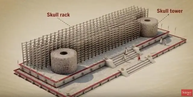 Новый судебно-медицинский анализ показывает, что кости принадлежали Амелии Эрхарт