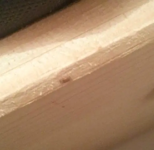 Система теплового удара помогает жуку вернуться к жизни после высыхания