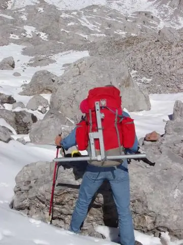 Дефект антенны клеток связан с деформированными органами у рыбок данио