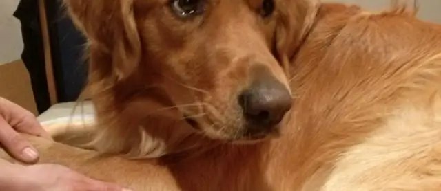 Большинство травм и заболеваний, связанных с добычей полезных ископаемых в Иллинойсе, остаются незарегистрированными