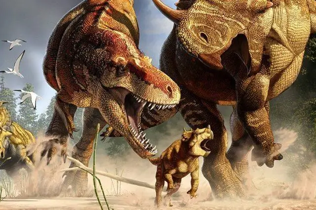 Эксперимент проливает новый свет на доисторические условия океана