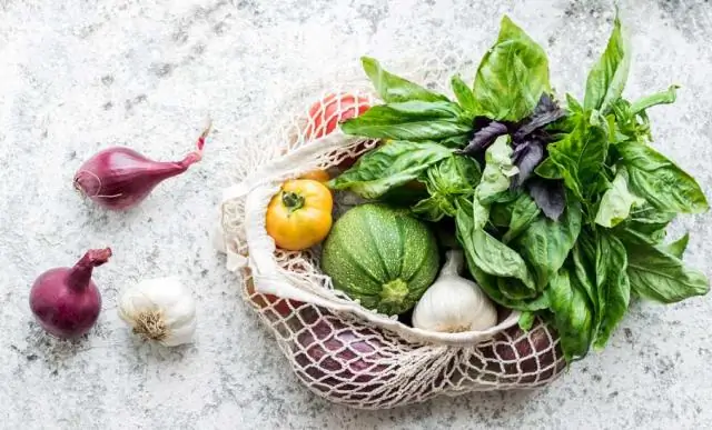 Сиди, оставайся, лечись: исследование показало, что собаки-терапевты помогают стрессовым студентам университета