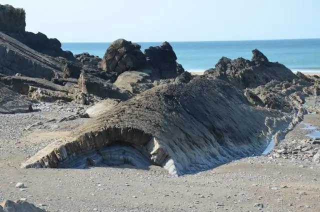 Citizen science databirds проходит научную проверку: отчеты любителей птиц отслеживают тенденции в государственных исследованиях птиц и могут восполнить пробелы в данных в развивающихся странах