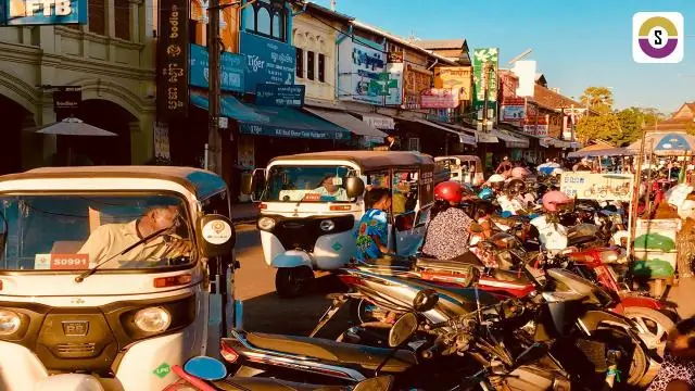 Как построить лучшую железную дорогу – в (почти) каждой клетке вашего тела