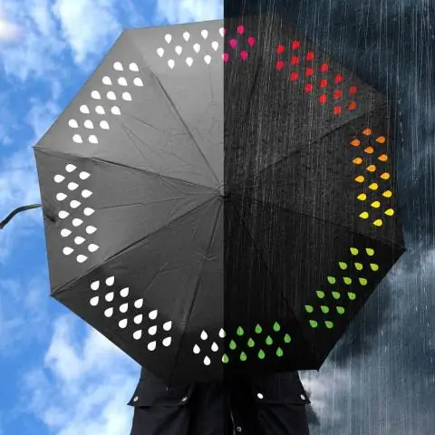 Свинина, меняющая цвет, «видит» своей кожей: кожа рыб воспринимает свет не так, как глаза