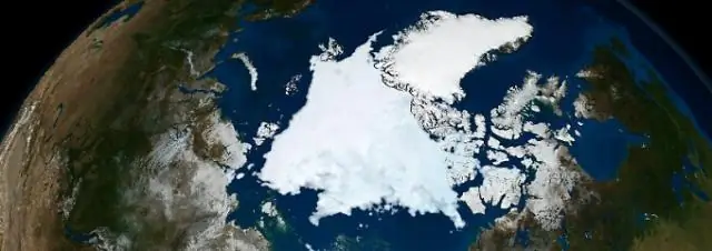 Теплая Арктика означает более холодные и снежные зимы на северо-востоке США, говорится в исследовании: связь потепления Арктики с погодой в США «не случайна»