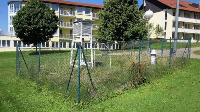 Вновь открывается холодное дело о морской звезде, изменение климата остается под подозрением