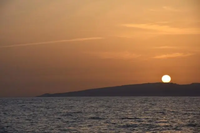 Самцы логгерхедских черепах также возвращаются на свои гнездовые пляжи для размножения