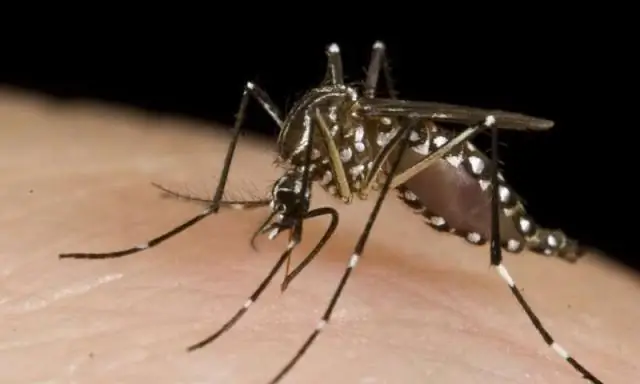 Ученые помогают лучше понять тектонику плит