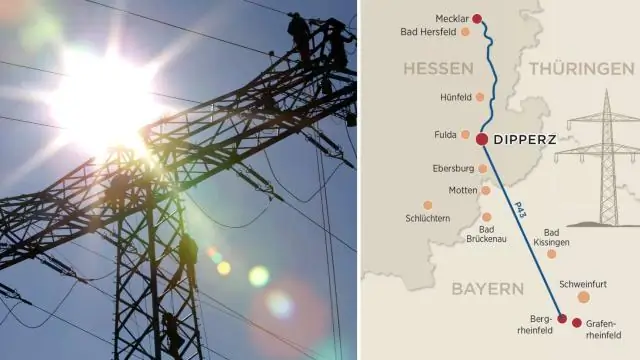 Морские экологи изучают влияние гигантских водорослей на группы организмов в подводной лесной экосистеме